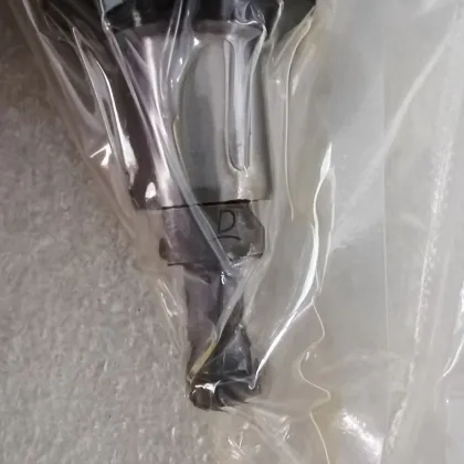 Diesel Fuel Pump Plunger 090150-5971 for HINO Engine