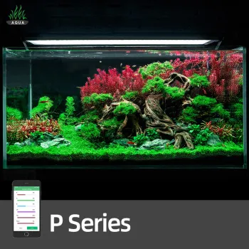 PANDORA P Series Aqua Light 150W High Lumen UV LED Aquarium Light for Plant and Aquascape (1000 Gallon)