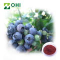 Blueberry Extract 25% Anthocyanidin