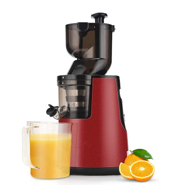 Filtro in acciaio inossidabile Blender lento per frutta e verdura