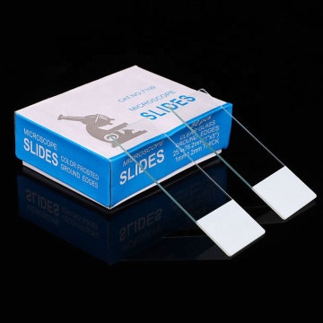BP-7109W Toprak Kenar Mikroskop Slaytları Tek Beyaz Kaplamalı Uç