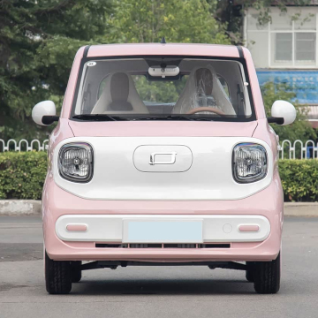 Full electric small car