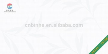 300x600 ceramic wall tiles China supplier