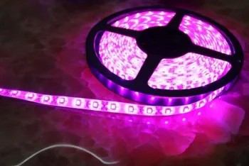 Durable 5m Long Car Led Strip Lights 12v / 24v , 8mm Led Furniture Lighting