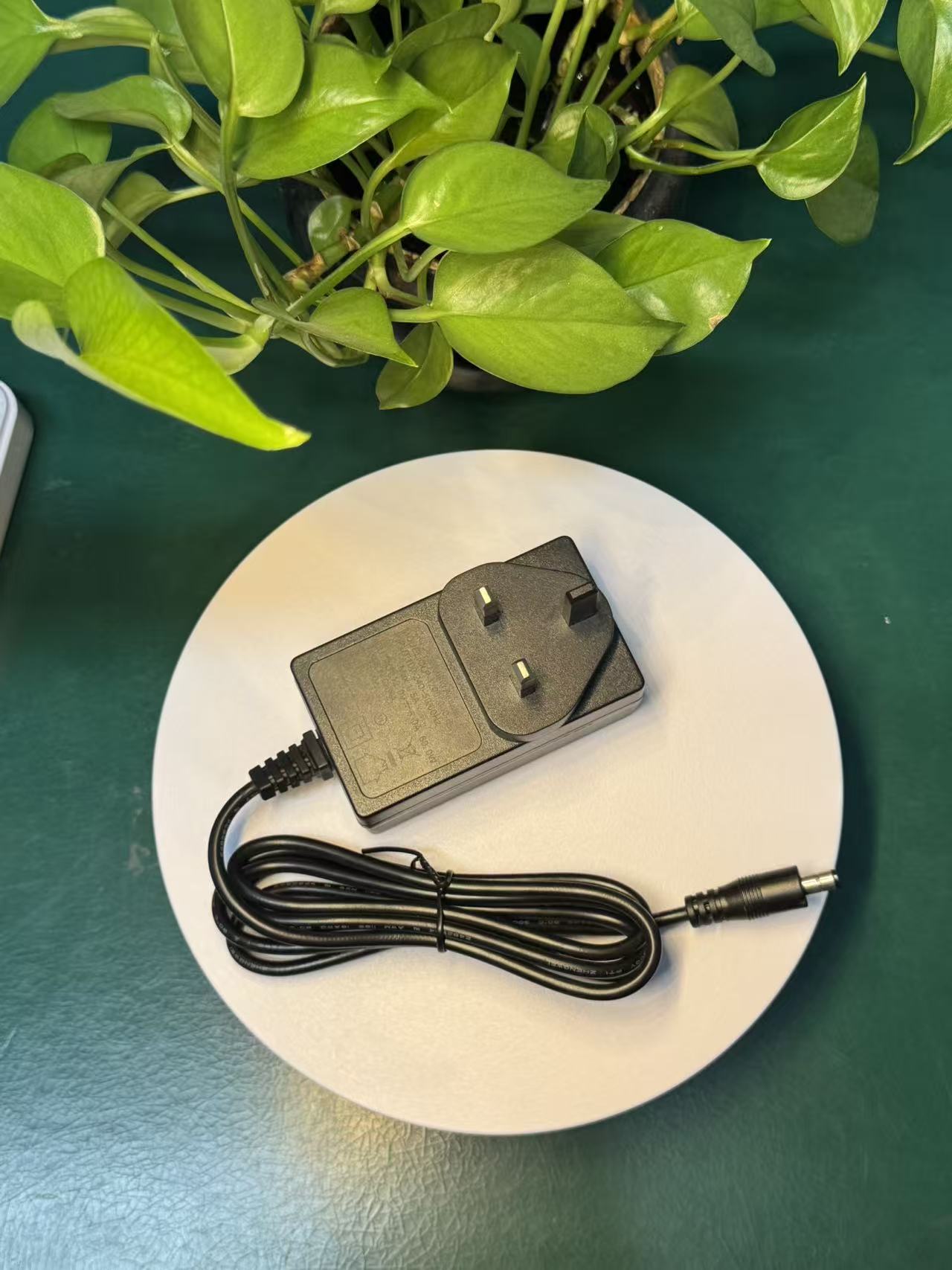 12V DC 5A 60W