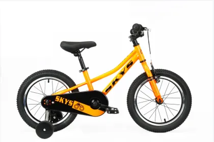Steel Frame Children′ S Bike Double Disc Brake