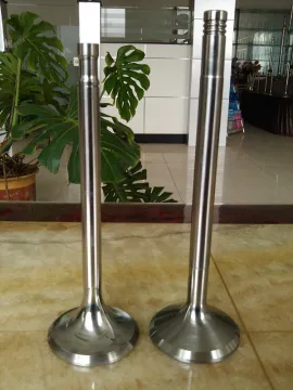 Marine BERGEN S32FA Intake Exhaust Engine Valve
