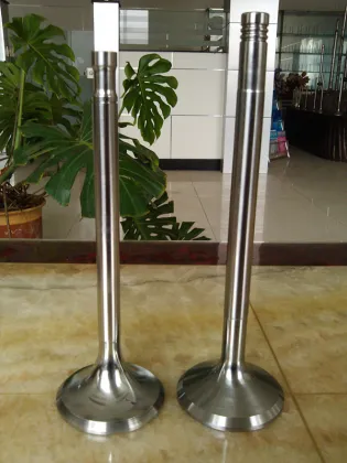 Diesel Engine Parts Train Engine Valve for Lombardini