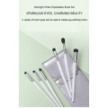 Premium Eye Shadow Brush Set