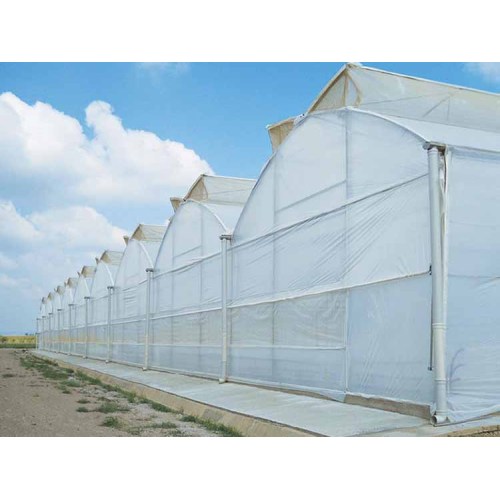 Skyplant Low cost Multispan Tunnel Greenhouse for Flower