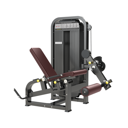 Kommerzieller Fitnessstudio Beinbein Curl/Extension 2 in 1