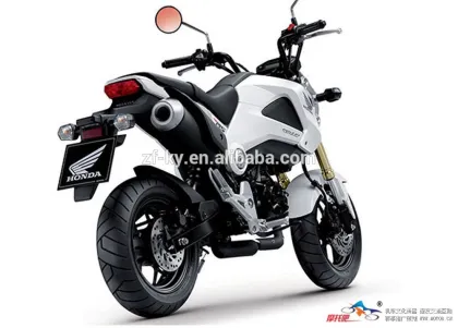 Chinese 125cc mini racing motorcycle ZF MSX