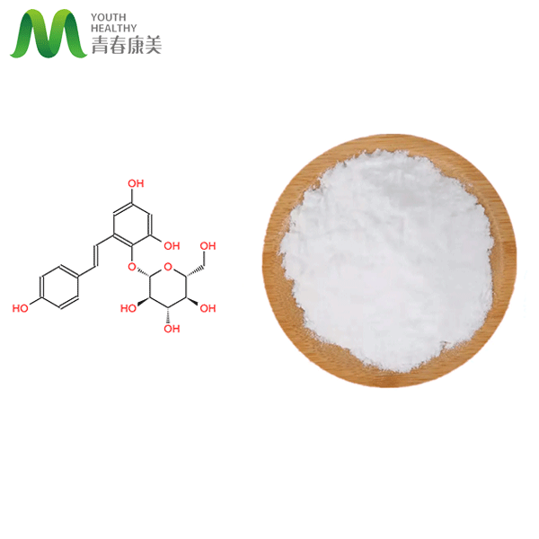 GMP Origin Stilbène Glycosides Powder