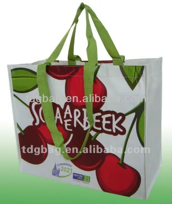 ice bag,ice bag for wine,ice chest bag