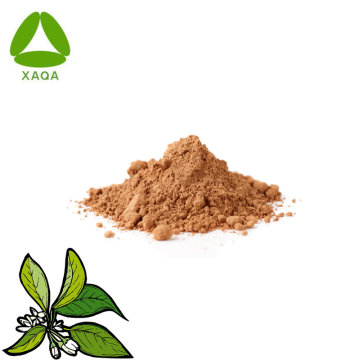 Halal ISO9001 Food Cosmetic Citrus Leaf Extract Powder