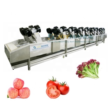 High Efficiency Air Blowing Drying Machine for Tomatoes