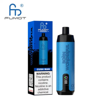 Experience Vaping Sensation with RandM Shisha 10000 puffs