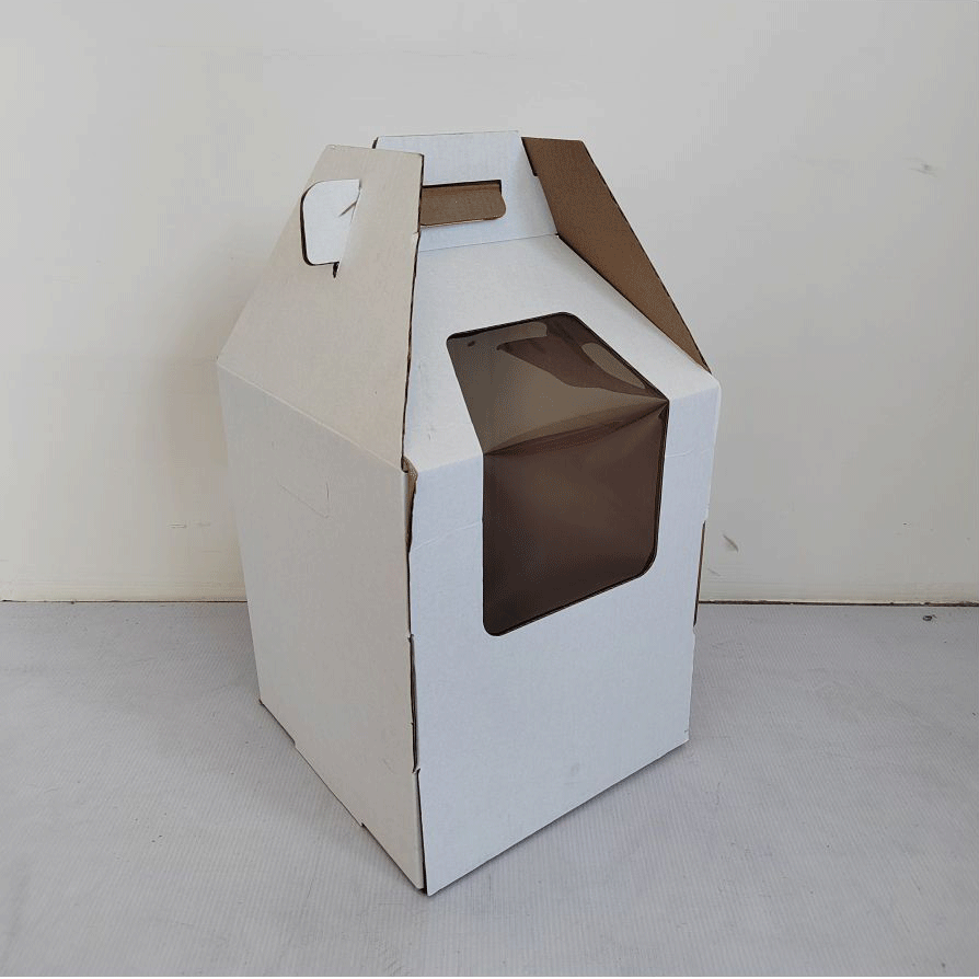 Caja de visualización de ventana de regalo elegante