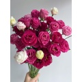 তোড়া জন্য টাটকা কাটা ফুল Burgundy Lisianthus পাইকারি