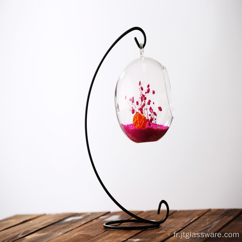 Bouteille en verre Terrarium Home Decor