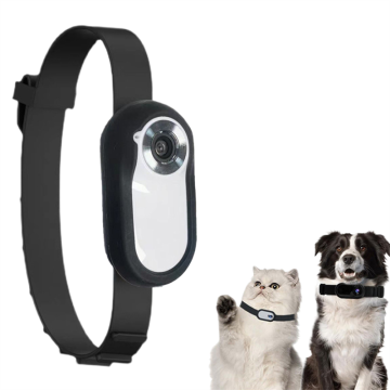 Portable APPHEPROPH MINI MINI OUTDOOOR PET CAMERIE POUR LES VORTEMENTS - NOUVELLES Arrivées dans les jouets pour animaux de compagnie et les produits de voyage