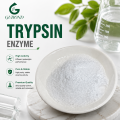 Polvo de enzima tripsina para la preparación de péptidos de hidrólisis de proteínas