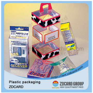 Plastic Clear Packing Box with Hook (ZDU01)