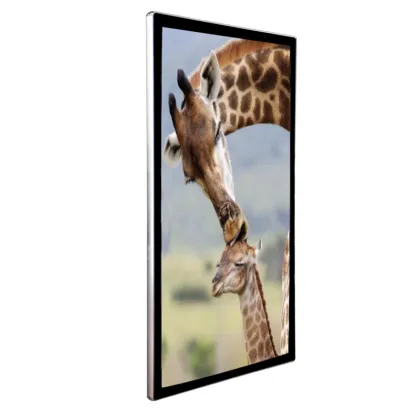 wifi connect mobile projector live steam equipment