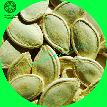 2013 Crop All Natural Squash seeds