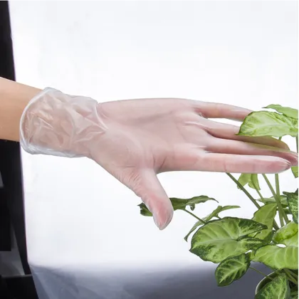 China Powder Free Vinyl Gloves for Labor Protection