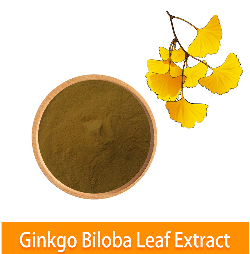 Pó de folhas de ginkgo orgânico de alta qualidade de alta qualidade