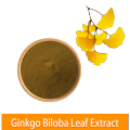 En gros de la poudre de feuilles de ginkgo biologique de haute qualité de haute qualité