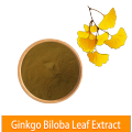 Polvo de hoja de hoja de ginkgo biloba de alta calidad de alta calidad de alta calidad