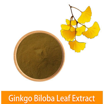 Χονδρική υψηλής ποιότητας οργανικό ginkgo biloba φύλλο σκόνη