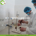 Factory Supply Healthy Natural For Sale Goji