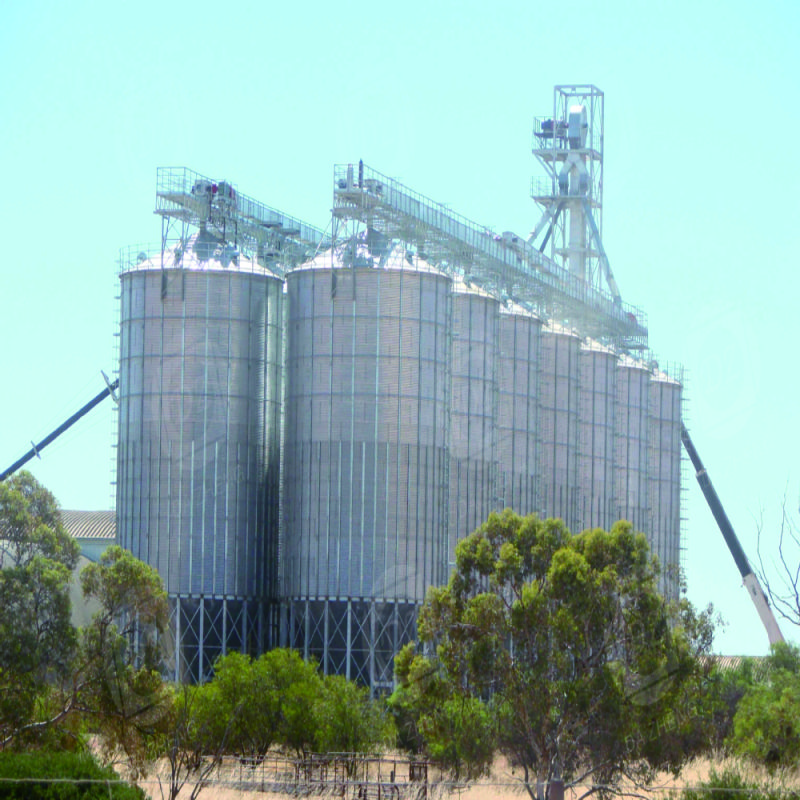 Silos for cement and powder storage
