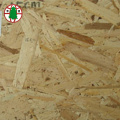 Vật liệu chống thấm cao Mositure OSB2