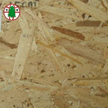 High Mositure Resistance Poplar Material OSB2