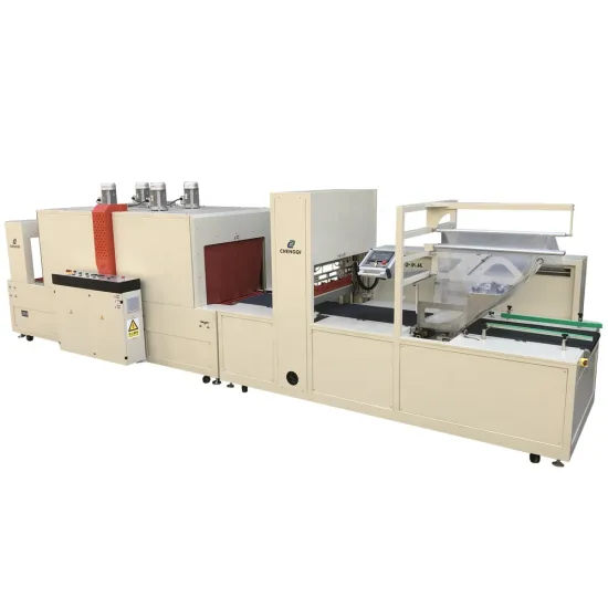 Automatic Shrink Wrapper Machine for Full Closed Trays