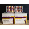 Amoxicillin Capsule 500mg AMOXIL BP