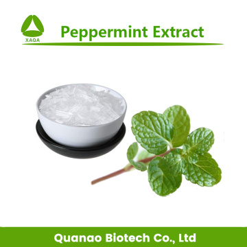 Menthol Crystal Peppermint camphor 99% Peppermint Extract