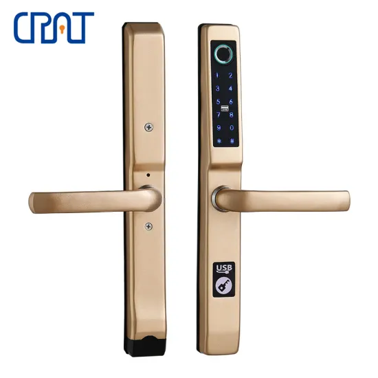 Ip65 Outdoor Fingerprint Smart Door Lock for Sale