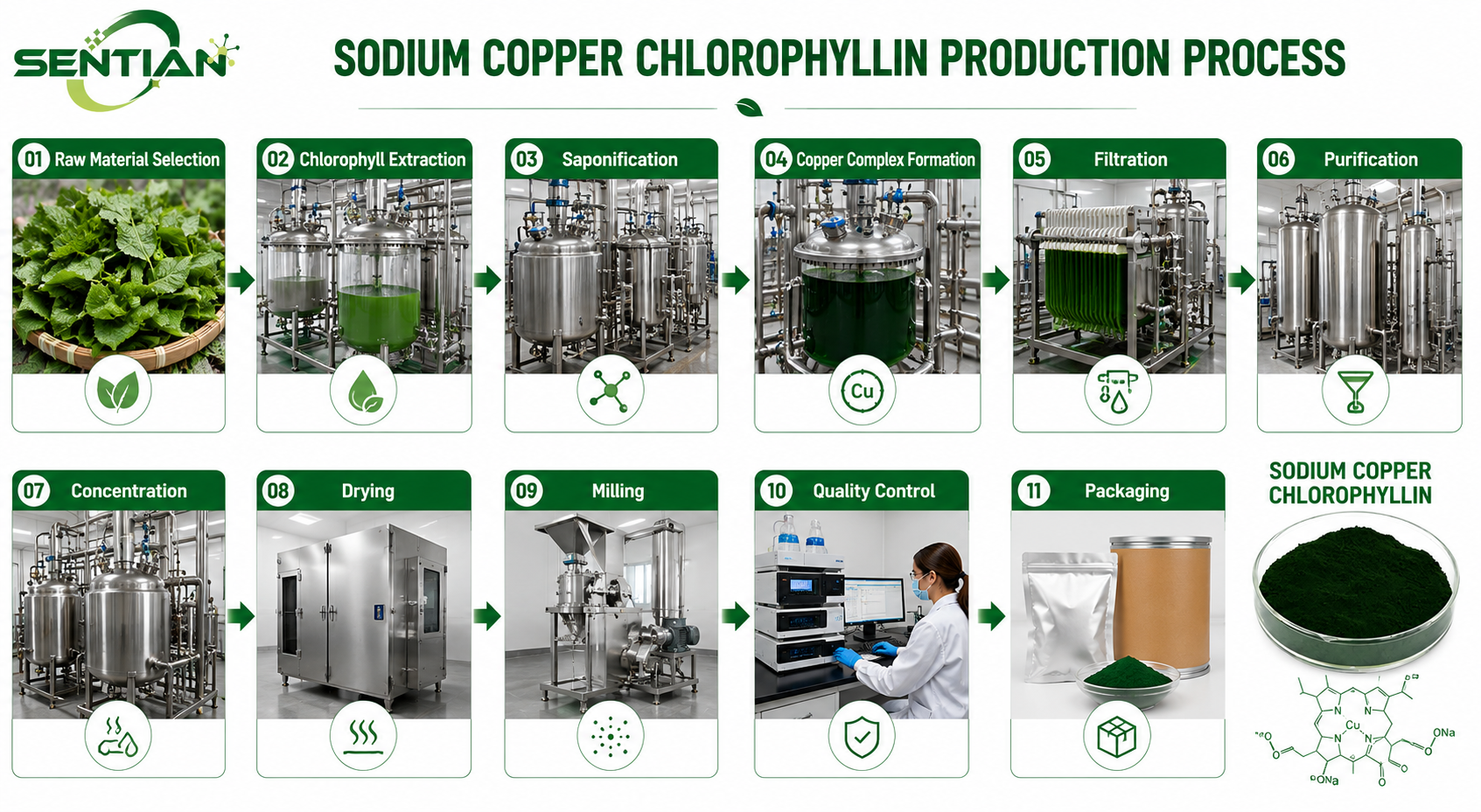 Sodium Copper Chlorophyllin1