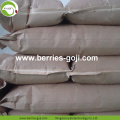 Factory Supply Hot Sale GWS Pumpkin Kernels