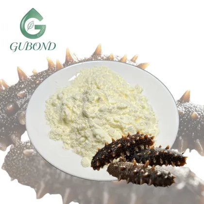 Sea Cucumber Extract Powder for Dietary Supplements