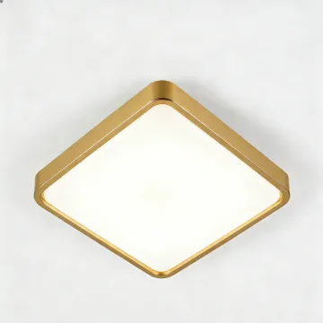 LED ceiling fixture for indoor living