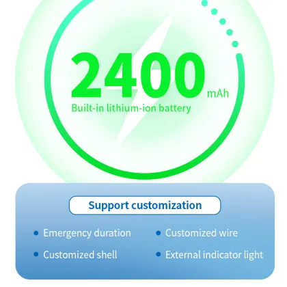 LED light Emergency driver