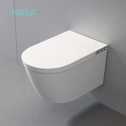 Smart Wall Mounted Toilet System