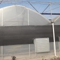 Large Plastic Film Multi Span Greenhouse