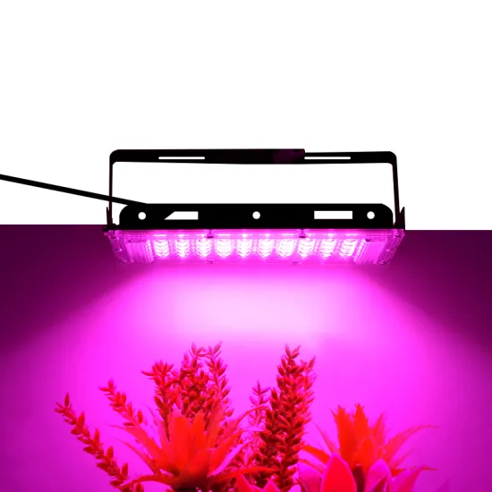 Best Sellers: Full Spectrum Waterproof LED Grow Lights for Hydroponics
